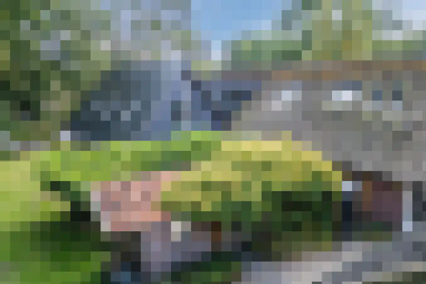 Kievitshaar 7 Balkbrug thumbnail 65