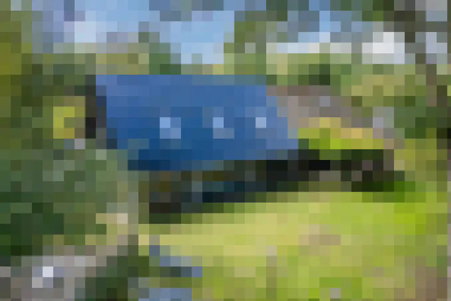 Kievitshaar 7 Balkbrug thumbnail 66