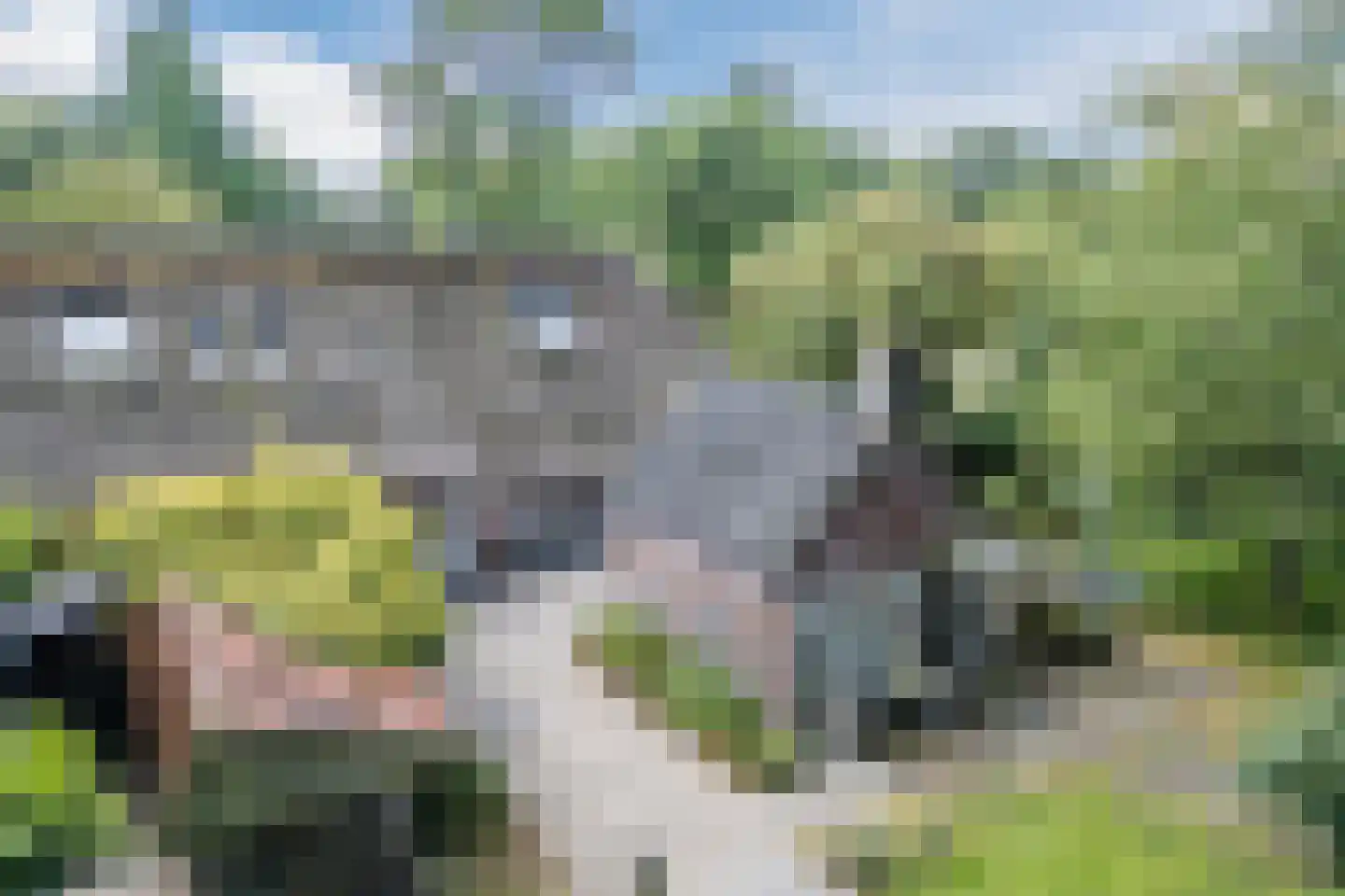 Kievitshaar 7 Balkbrug thumbnail 67