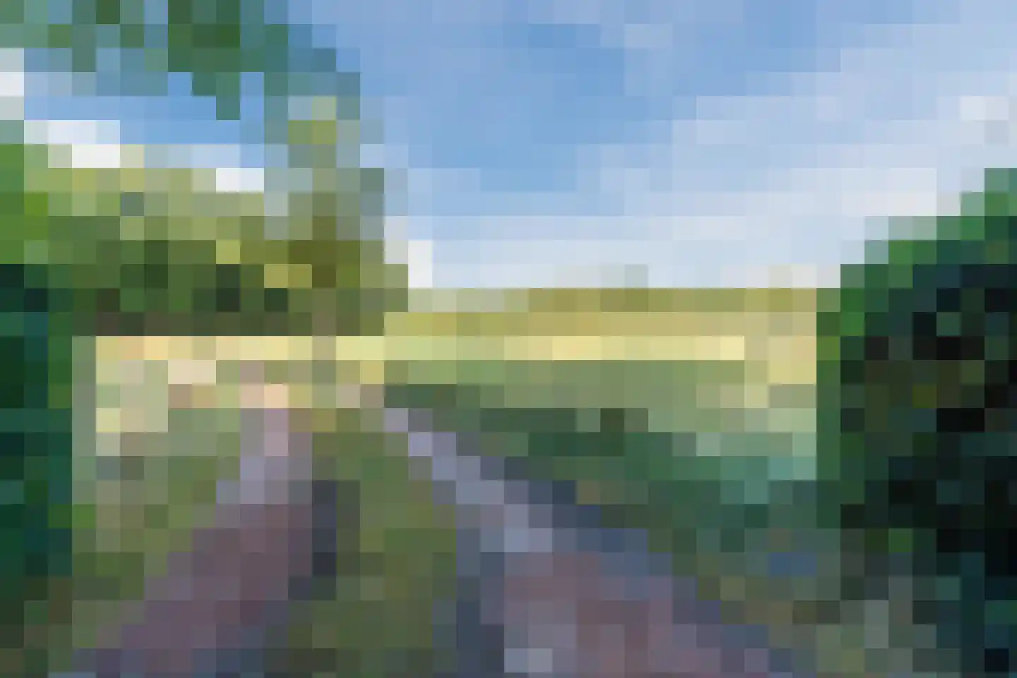 Kievitshaar 7 Balkbrug thumbnail 68