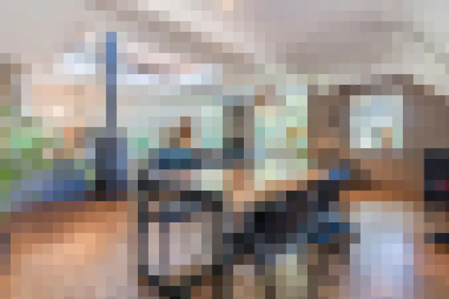 Kievitshaar 7 Balkbrug thumbnail 7