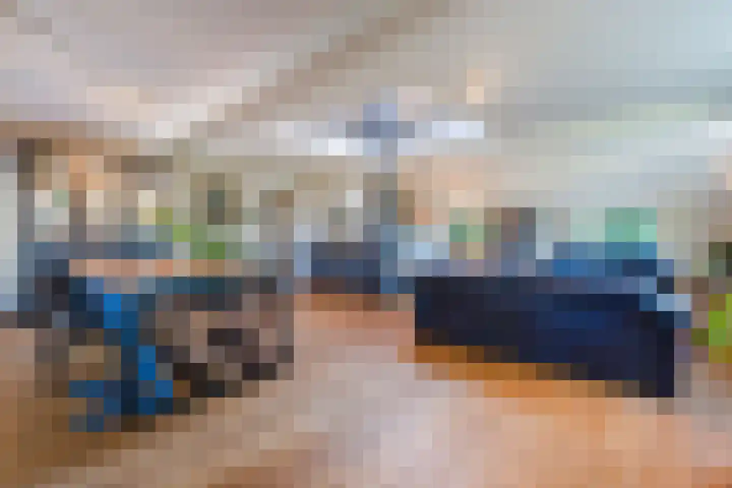 Kievitshaar 7 Balkbrug thumbnail 8