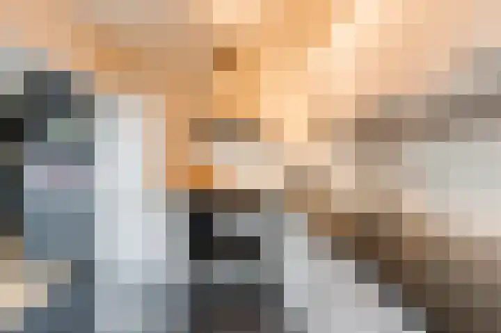 Kievitsheuvel 102 Bodegraven thumbnail 4