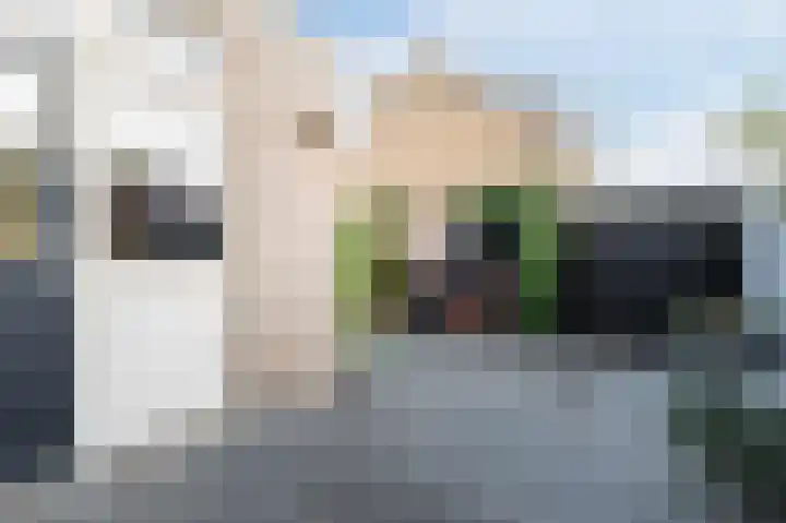 Kievitsheuvel 102 Bodegraven thumbnail 42