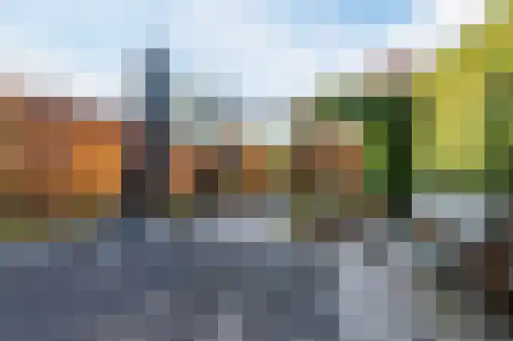 Kievitsheuvel 102 Bodegraven thumbnail 9