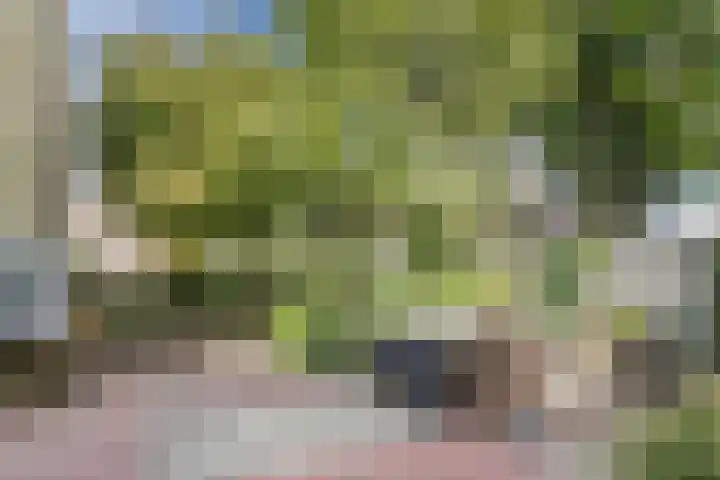 Kievitsheuvel 38 Bodegraven thumbnail 4