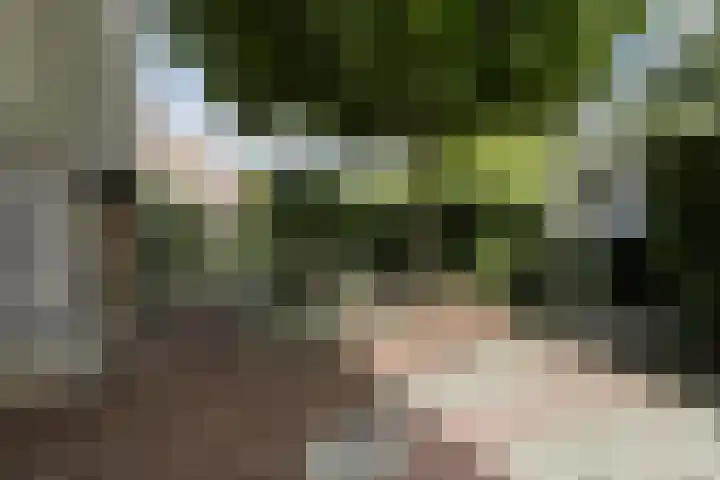 Kievitsheuvel 38 Bodegraven thumbnail 42