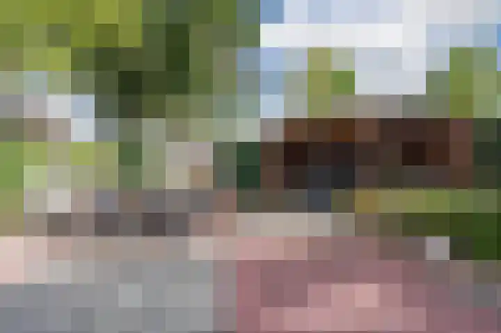 Kievitsheuvel 38 Bodegraven thumbnail 44