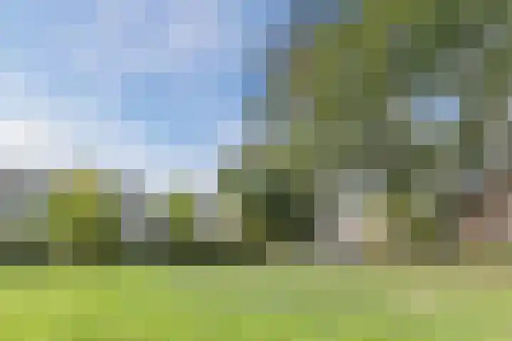 Kievitsheuvel 38 Bodegraven thumbnail 58