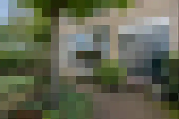Kievitsheuvel 38 Bodegraven thumbnail 6