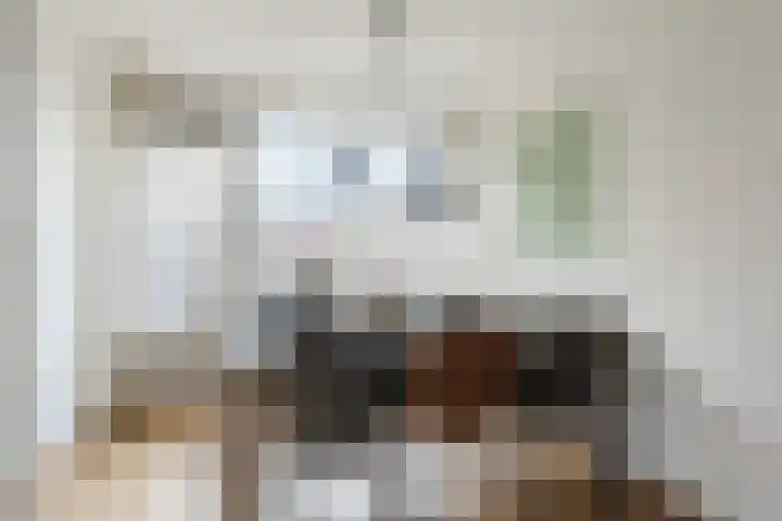 Kievitsheuvel 56 Bodegraven thumbnail 15
