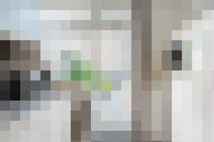 Kievitsheuvel 56 Bodegraven thumbnail 18