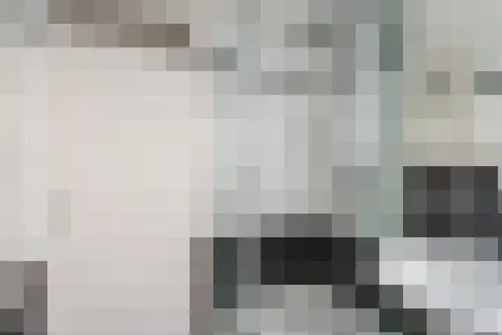 Kievitsheuvel 56 Bodegraven thumbnail 31
