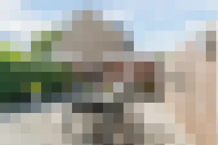 Kievitsheuvel 56 Bodegraven thumbnail 41