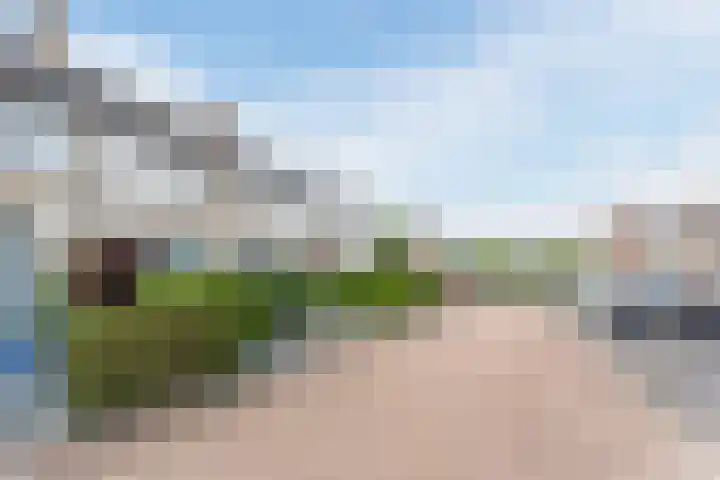 Kievitsheuvel 56 Bodegraven thumbnail 45