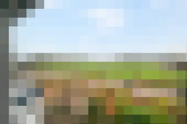 Kievitsheuvel 90 Bodegraven thumbnail 22