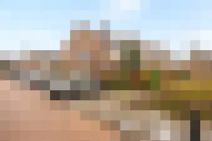 Kievitsheuvel 90 Bodegraven thumbnail 36
