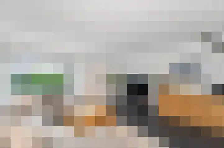 Kievitsheuvel 90 Bodegraven thumbnail 8