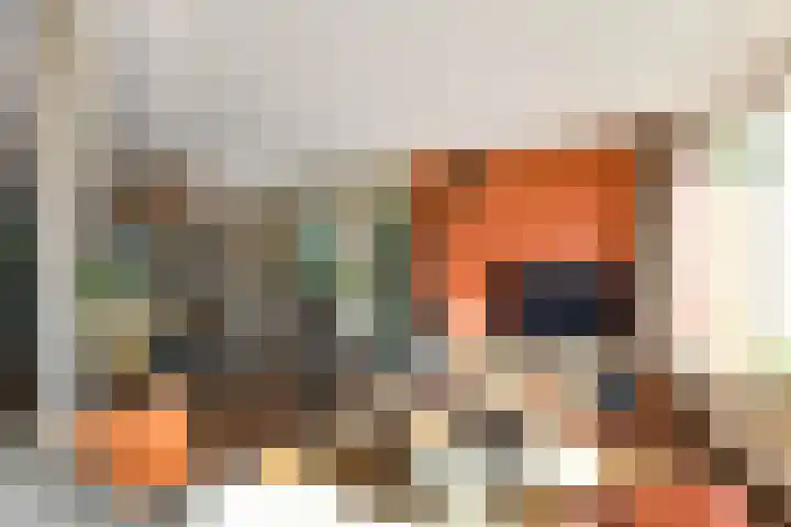 Kievitshof 14 Elst thumbnail 11