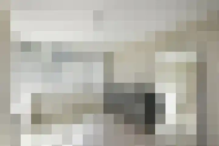Kievitshof 14 Elst thumbnail 20