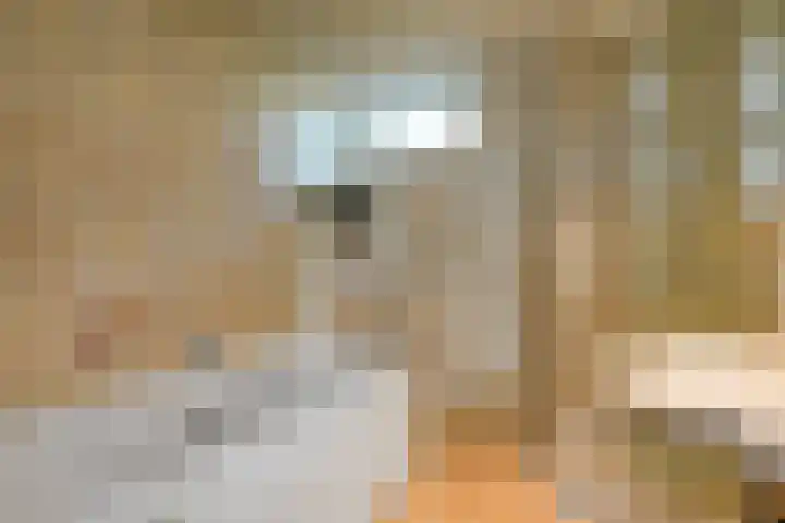 Kievitshof 14 Elst thumbnail 25