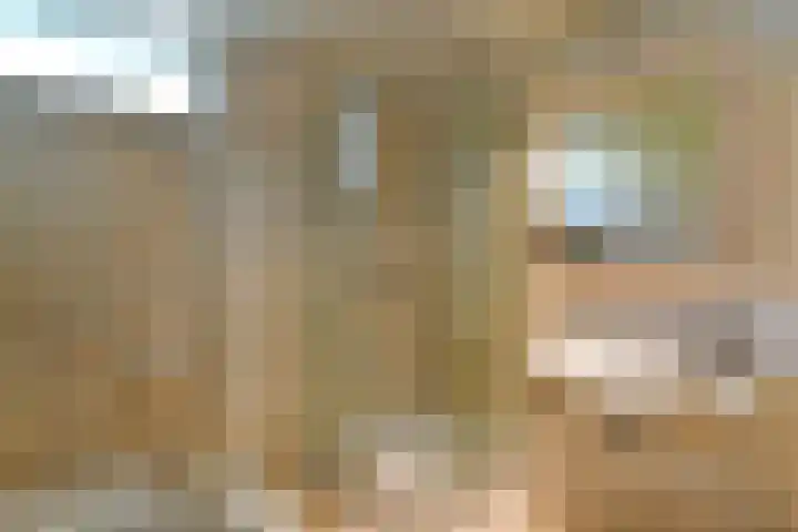 Kievitshof 14 Elst thumbnail 26