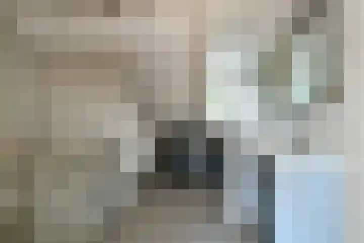 Kievitshof 14 Elst thumbnail 30