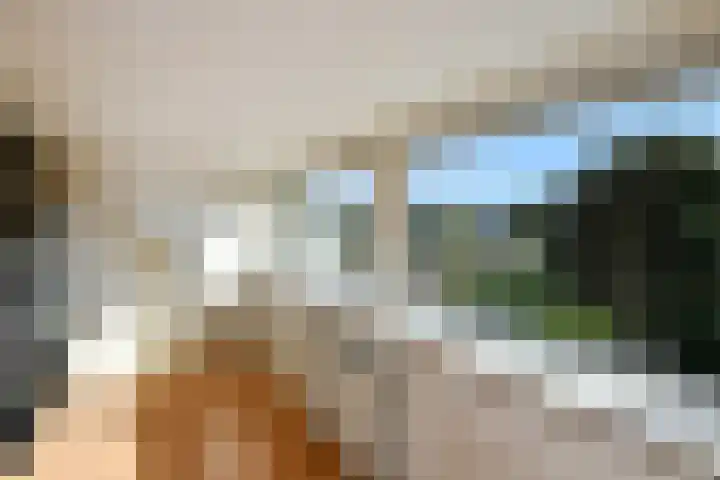 Kievitshof 14 Elst thumbnail 33
