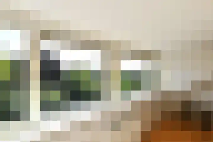 Kievitshof 14 Elst thumbnail 34