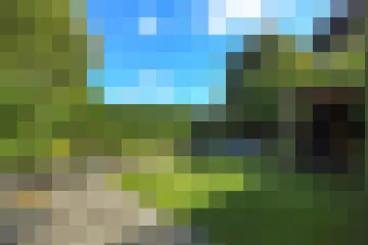 Kievitshof 14 Elst thumbnail 36