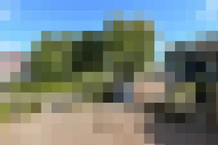 Kievitshof 14 Elst thumbnail 43