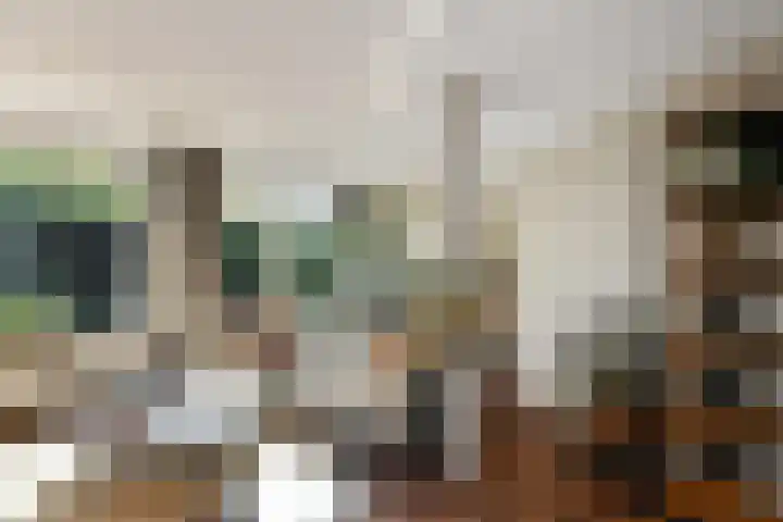 Kievitshof 14 Elst thumbnail 9