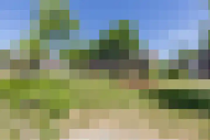 Kievitshof 3 Weesp thumbnail 31