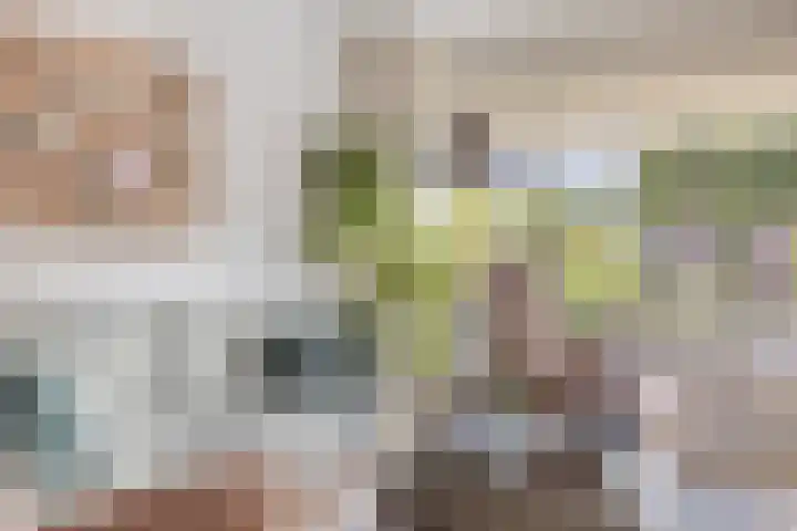 Kievitshof 50 Elst thumbnail 10
