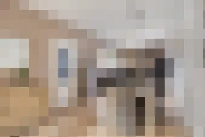Kievitshof 50 Elst thumbnail 14
