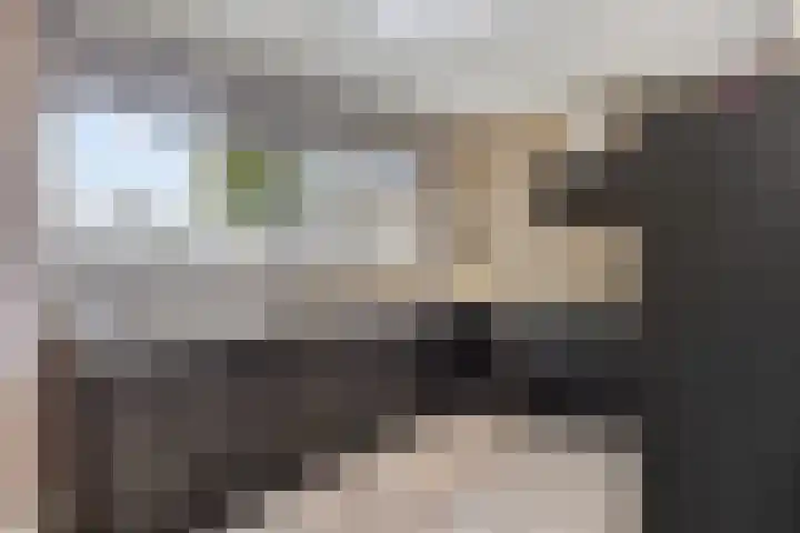 Kievitshof 50 Elst thumbnail 15