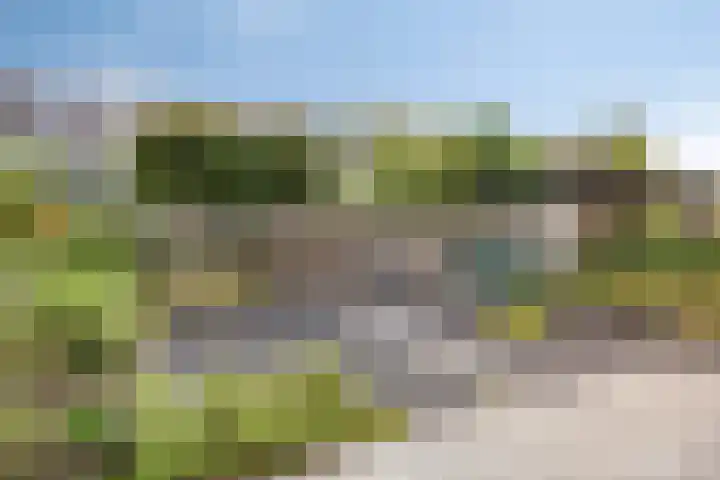 Kievitshof 50 Elst thumbnail 20