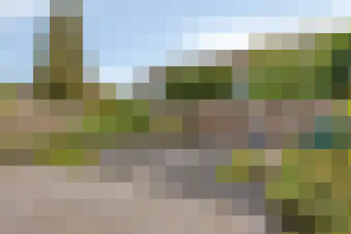 Kievitshof 50 Elst thumbnail 21
