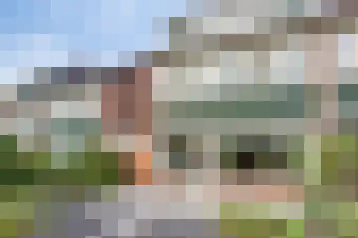 Kievitshof 50 Elst thumbnail 23