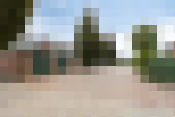Kievitshof 50 Elst thumbnail 42