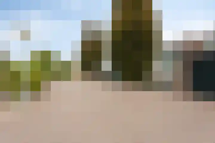 Kievitshof 50 Elst thumbnail 43