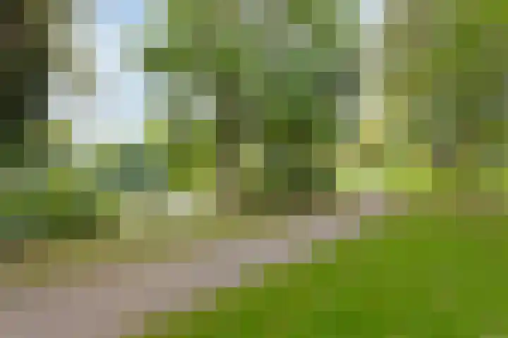 Kievitshof 50 Elst thumbnail 44