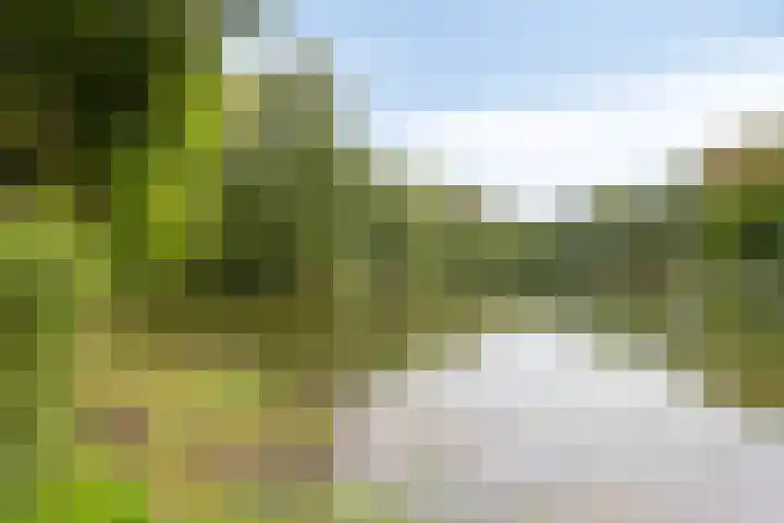 Kievitshof 50 Elst thumbnail 45
