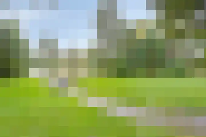Kievitshof 50 Elst thumbnail 46