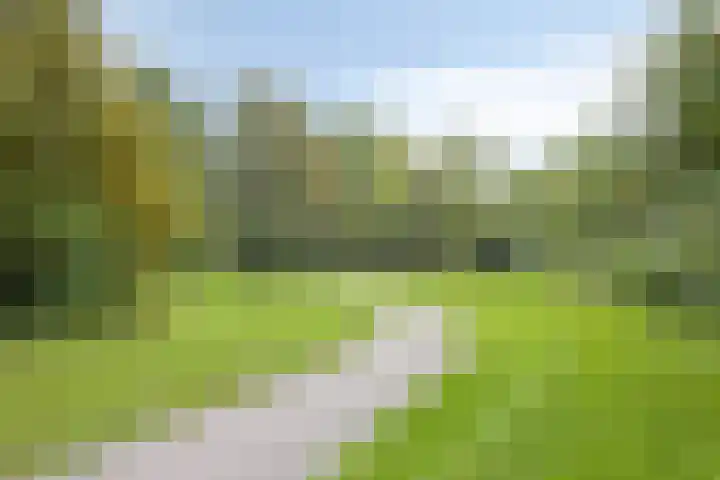 Kievitshof 50 Elst thumbnail 47