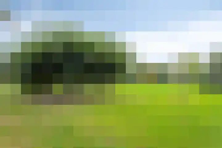 Kievitshof 50 Elst thumbnail 48