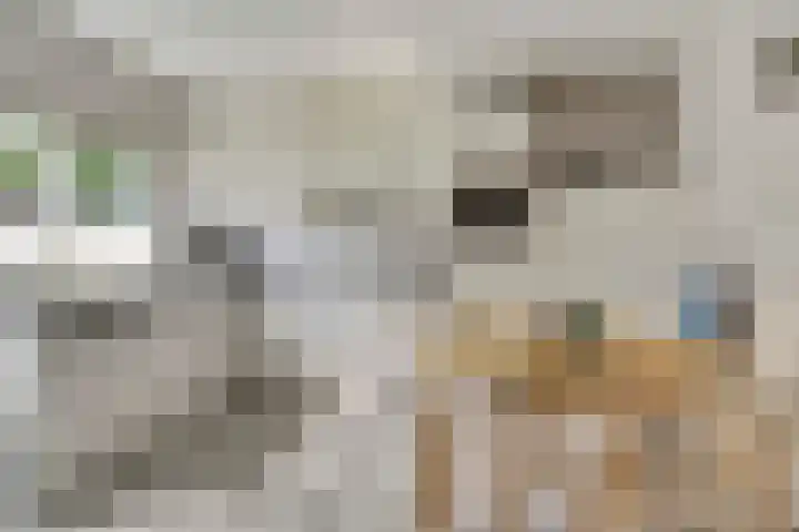 Kievitshof 72 Elst thumbnail 13