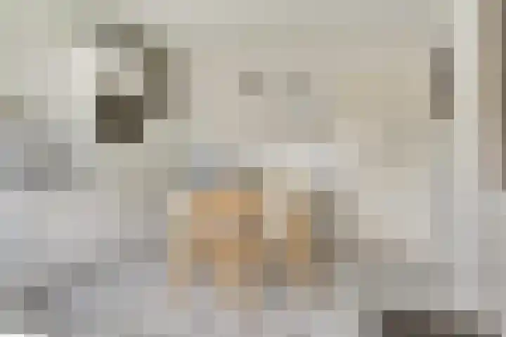 Kievitshof 72 Elst thumbnail 14
