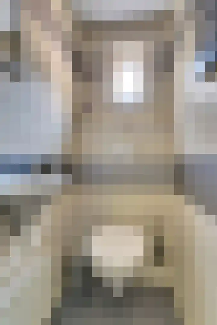 Kievitshof 72 Elst thumbnail 21