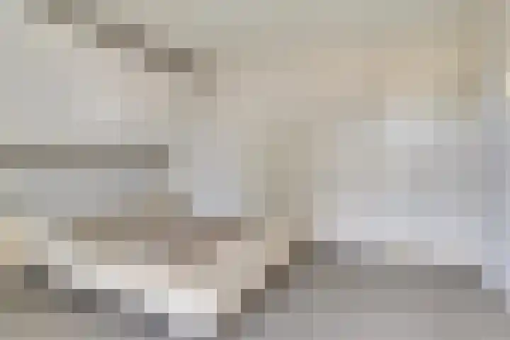Kievitshof 72 Elst thumbnail 23